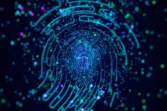 <b>最新民调显示韩国总统支持率回升至60%</b>